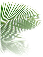 palm left